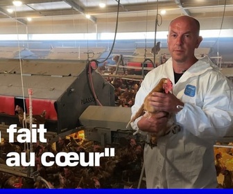 Replay ROBIN DE BFM - Un éleveur doit abattre ses 8.000 poules après une détection de salmonelle