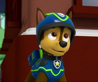 Replay Paw Patrol, la Pat'Patrouille - Trois pingouins dans la ville