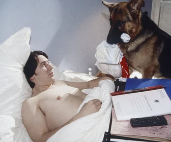 Replay Rex, chien flic - L'attentat