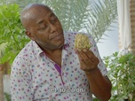 Replay La cuisine méditerranéenne d'Ainsley - S1 E5 - Marrakech (1/2)