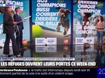 Replay 20H BFM - SPA: tous les refuges en France ouvrent leurs portes ce week-end pour trouver des familles aux petits pensionnaires