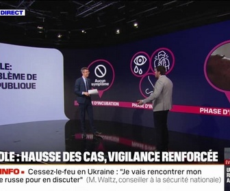 Replay 20H BFM - Hausse des cas de rougeole: un problème de santé publique