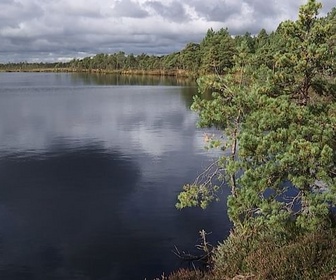 Replay Soomaa en Estonie - Les parcs nationaux des pays baltes
