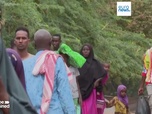Replay L'Afrique et le Moyen-Orient affamés par les conflits, la guerre commerciale et le climat