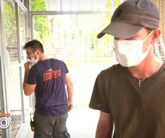 Replay Une saison au zoo - S12 E42