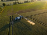 Replay 28 minutes - Acétamipride, flupyradifurone : urgence agricole ou alerte sanitaire ?