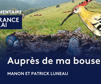 Replay La France en vrai - Occitanie