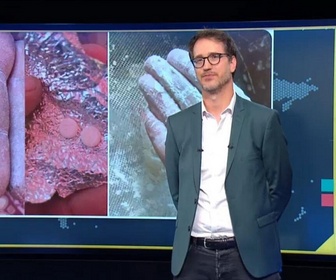 Replay Info ou intox - De l'oxycodone dans de la farine à Gaza ? Que sait-on de cette rumeur ?