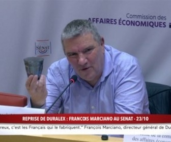 Replay 100% Sénat - Reprise de Duralex : le directeur général auditionné