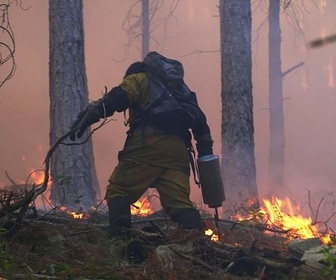 Replay Corse, les maquisards du feu - GEO Reportage