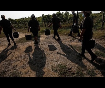 Replay Drame en Italie : 4 ouvriers agricoles brûlés vifs en Calabre
