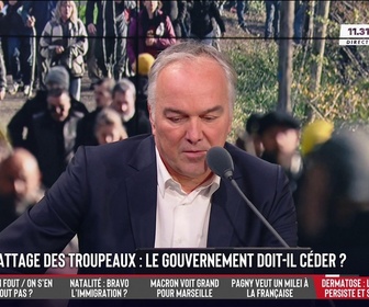 Replay Les Grandes Gueules - Abattage des troupeaux : le gouvernement s'obstine… ça va péter ?