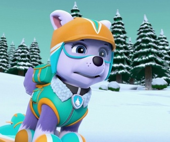 Replay Paw Patrol, la Pat'Patrouille - Panique sur les pistes