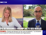 Replay 20H BFM - Droits de douane: Donald Trump dicte ses règles
