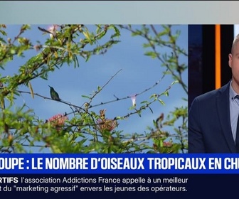 Replay BFM Première prématinale - Le break du 16 septembre