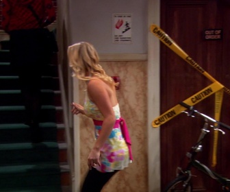 Replay The Big Bang Theory - S2E6 - Le théorème Cooper-Nowitzki