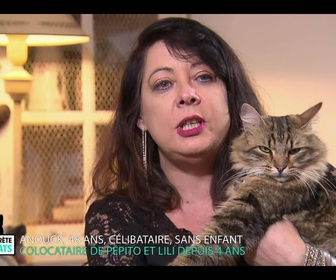 Replay La vie secrete des chats - S2E5 - Quand les chats font la loi