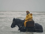 Replay Mer du Nord : les derniers cavaliers pêcheurs - ARTE Regards