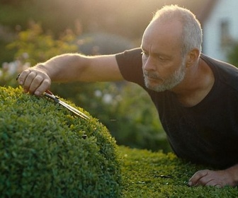 Replay Le jardinier, le bouddhiste et l'espion