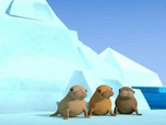 Replay Les Octonauts et les bébés morses