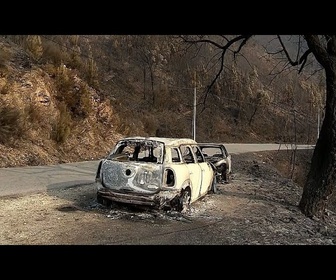 Replay Portugal : plus de 172 000 hectares brûlés, plusieurs incendies de forêt toujours en cours