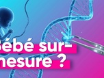 Replay Top Info - A la recherche de l'embryon parfait