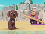 Replay Paw Patrol, la Pat'Patrouille - Leçon de ski nautique