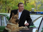 Replay Rex, chien flic - Les cachets