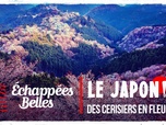 Replay Échappées belles - Le Japon des cerisiers en fleurs