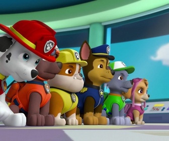 Replay Paw Patrol, la Pat'Patrouille - Le disque volant