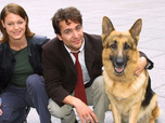 Replay Rex, chien flic - 25/08/2026