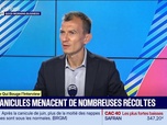 Replay Le monde qui bouge - L'Interview : Les canicules menacent de nombreuses récoltes - 08/07