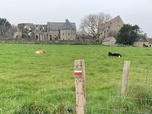 Replay Le sentier des douaniers en Bretagne - Chemins de traverse