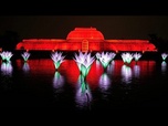 Replay Un million de LED : Kew Gardens dévoile un nouveau parcours lumineux de Noël