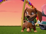 Replay Paw Patrol, la Pat'Patrouille - Les championnes de Pop Pop Boogie