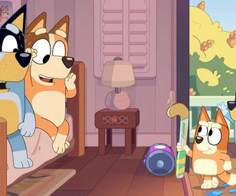 Replay Bluey - 31/05/2026