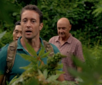 Replay Hawaii 5-0 - S2 E3 - Kame'e