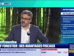 Replay Tout pour investir - Le placement à suivre : Diversification, investir dans les forêts - 19/02