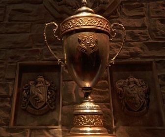 Replay Harry Potter : Le Tournoi des quatre maisons - La grande finale