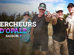 Replay Chercheurs d'opale - S7E5 - Retour aux sources