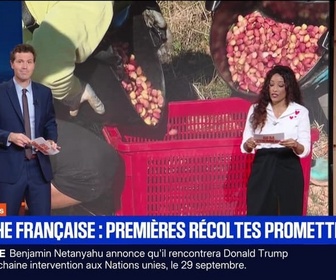 Replay BFM Première prématinale - Focus Régions - 17/09
