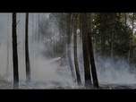 Replay Incendie en Gironde : 70 pompiers ukrainiens déployés pour aider à éteindre le feu