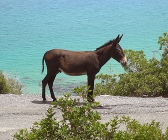 Replay Les Highlands / Chypre / Saint-Cyr - Invitation au voyage