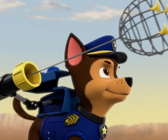 Replay Paw Patrol, la Pat'Patrouille - Les deux Luke Star