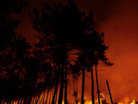 Replay Info éco - Incendies en Gironde : une cellule de crise économique à Bercy