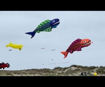 Replay Danemark : sur l'île de Fanø, un festival coloré de cerfs-volants