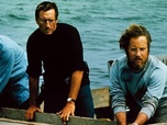 Replay Blow up - Quand le cinéma cite Les Dents de la mer