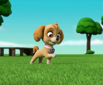 Replay Paw Patrol, la Pat'Patrouille - Le robot-serveur détraqué