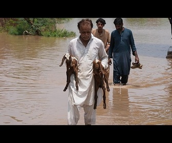 Replay Des équipes de secours évacuent des villages inondés à Sheikhupura, au Pakistan