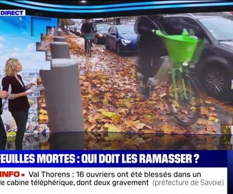 Replay Qui doit ramasser les feuilles mortes et qui est responsable? BFMTV répond à vos questions